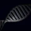 Microbes créés par IA : quand la menace biologique devient réelle